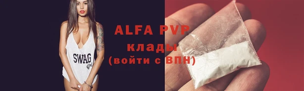 ГАЛЛЮЦИНОГЕННЫЕ ГРИБЫ Богданович