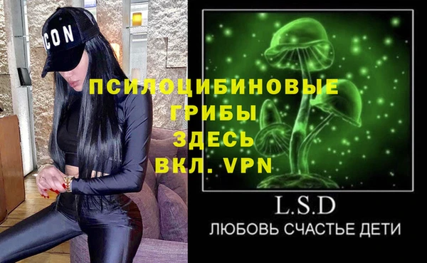 экстази Богородск