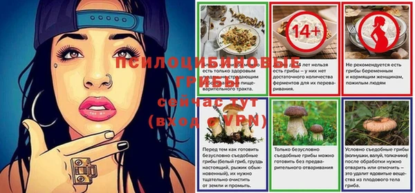 ГАЛЛЮЦИНОГЕННЫЕ ГРИБЫ Богданович
