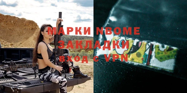 ГАЛЛЮЦИНОГЕННЫЕ ГРИБЫ Богданович