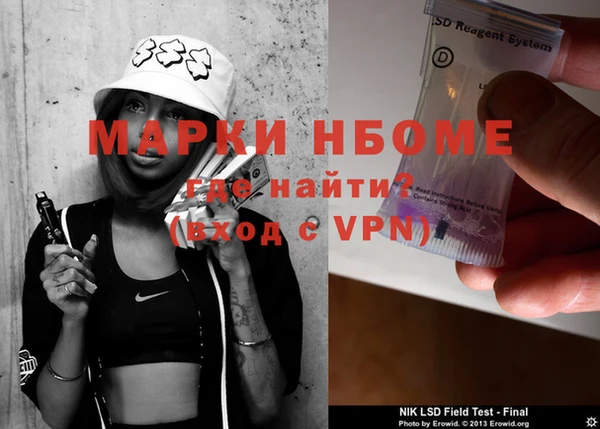 ГАЛЛЮЦИНОГЕННЫЕ ГРИБЫ Богданович