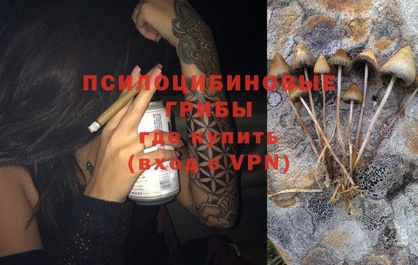 COCAINE Богородицк
