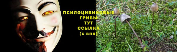 ГАЛЛЮЦИНОГЕННЫЕ ГРИБЫ Богданович